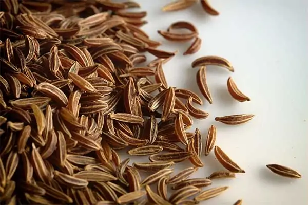 caraway-seed